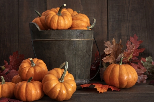 pumpkins-and-bucket-fall-decorating