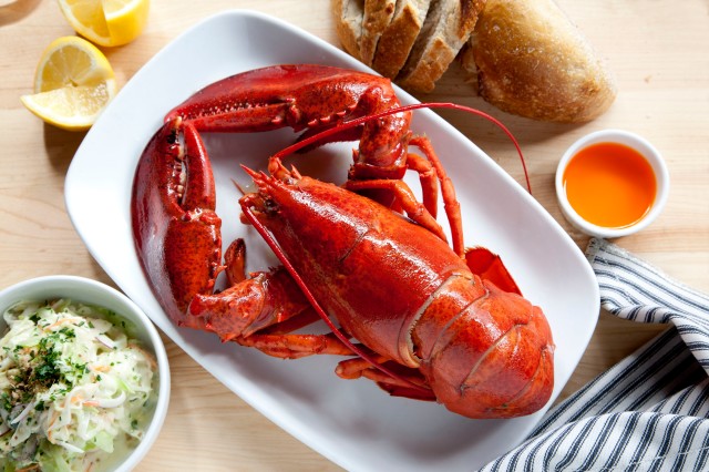 New England Lobster.jpg